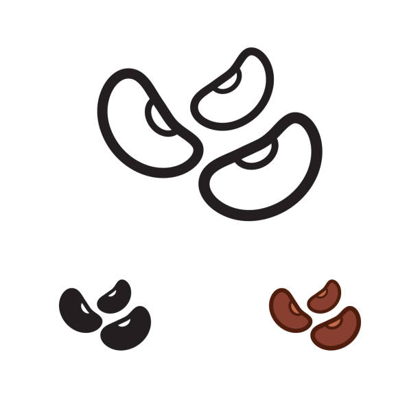 ilustrações de stock, clip art, desenhos animados e ícones de beans icon. vector. - adzuki bean