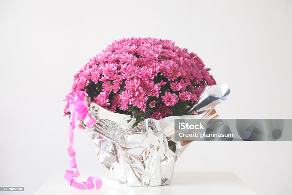 pink chrysanthemums Gift bouquet of pink chrysanthemums. Chrysanthemum Stock Photo