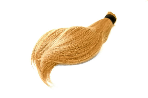 istock Natural hair on a white background 867845304