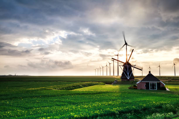 sunshine behind old windmill and modern mills