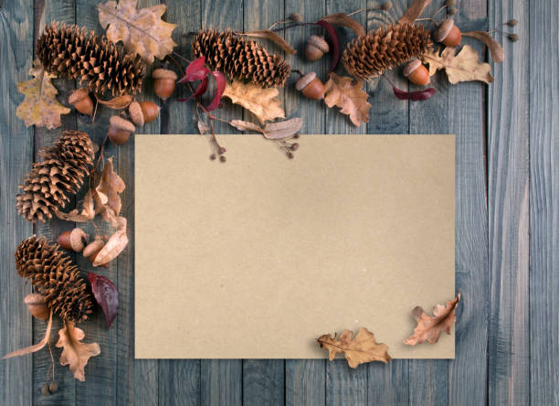 istock Autumn background with paper card decorated in rustic style 867853096