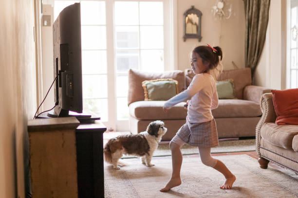 little girl dancing in front of the tv at home - shih tzu cute animal canine imagens e fotografias de stock