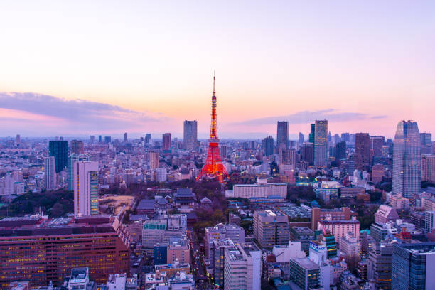istock Night view of Tokyo 867859562