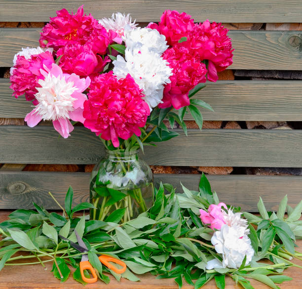 istock bouquet of peonies 867859592