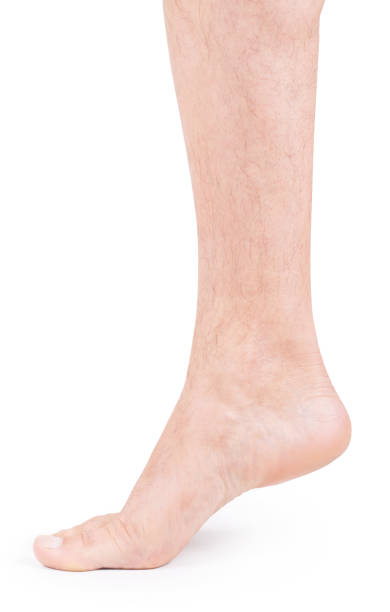 legs - reflexology beauty naked human foot imagens e fotografias de stock
