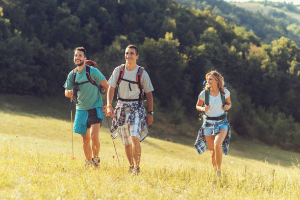 istock Three hikers hiking  in the nature 867861912