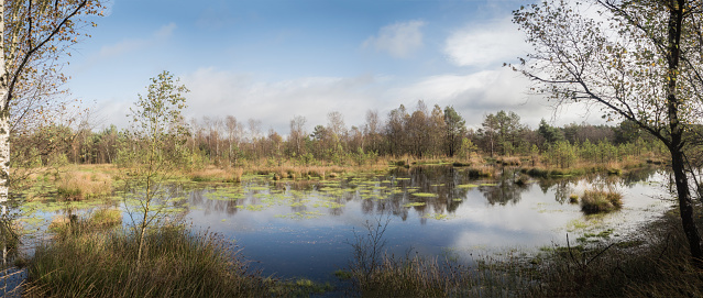 Een meertje op een eiland van de Marker Wadden