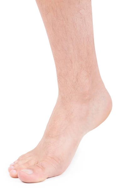 레그스 - reflexology beauty naked human foot 뉴스 사진 이미지