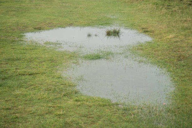 istock Large water puddles on a green meadow 867862812