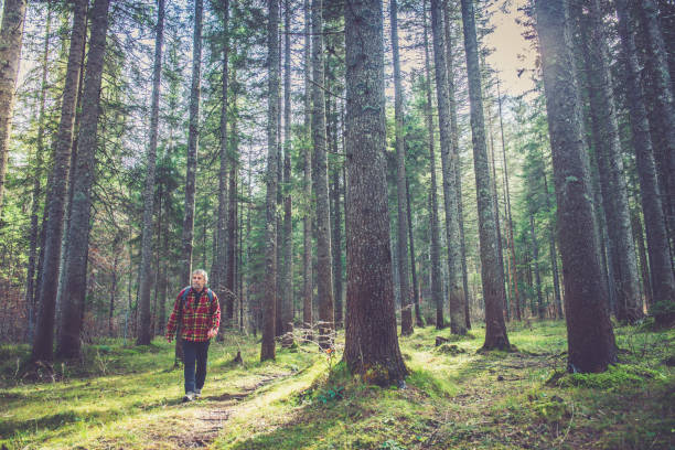 istock Senior Mountaineer in Alps 867873016