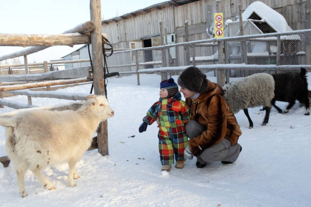 istock Family on a sheep farm 867873042