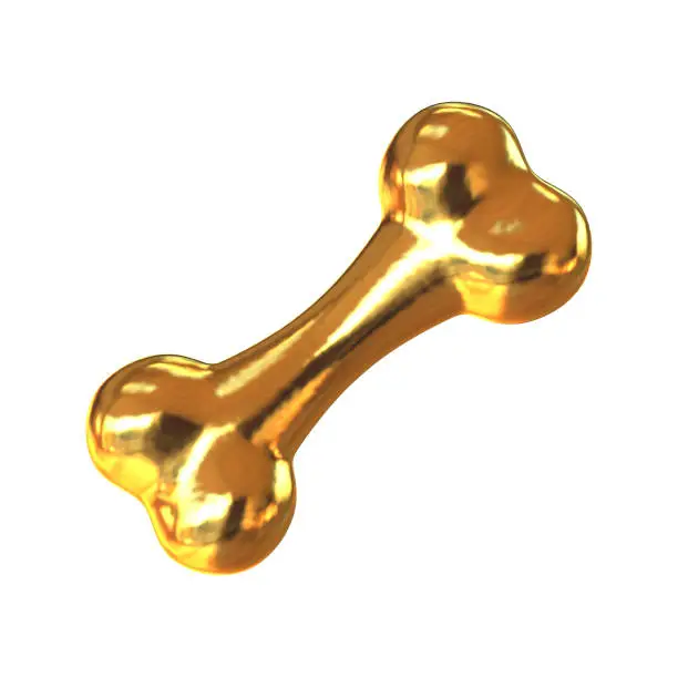 Gold dog bone  present for best pet 3d rendering