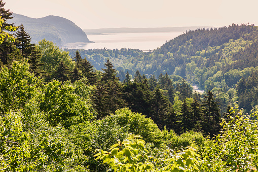 Panorama of Fundy National Park. New Brunswick, Canada.