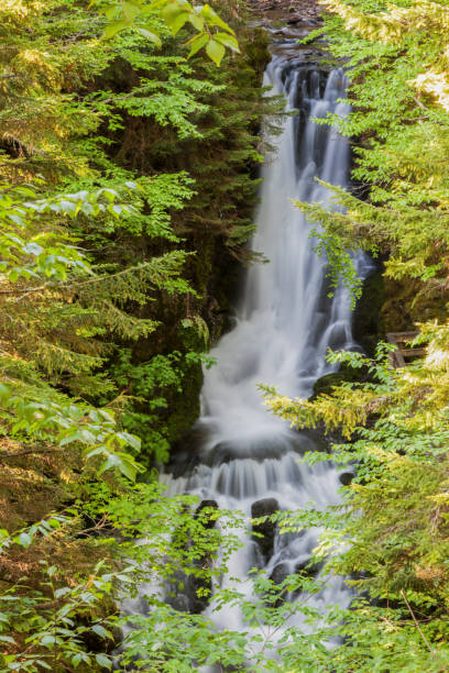 istock Waterfall in Fundy National Park 867886578