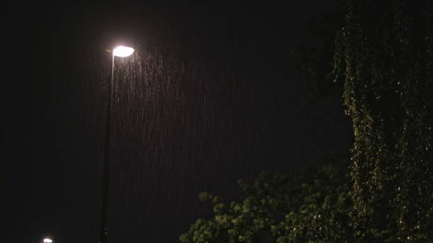 istock Rainy Night. Solitary Lamppost and a Wet Tree 867892584
