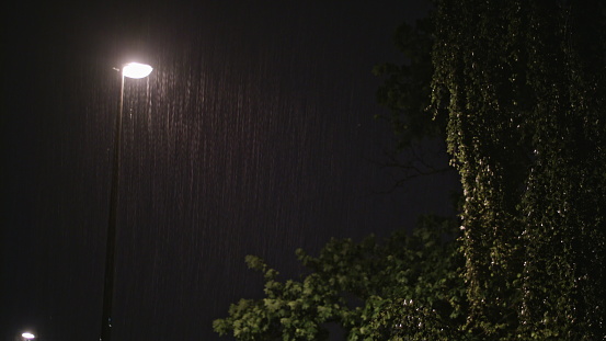Rainy night. A solitary lamppost and a wet tree. Long shot view of raindrops against a lamppost bright light.