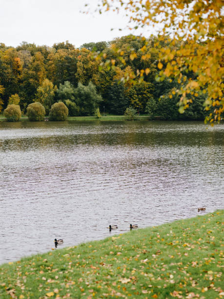 istock Pond in Autumn Park 867895944