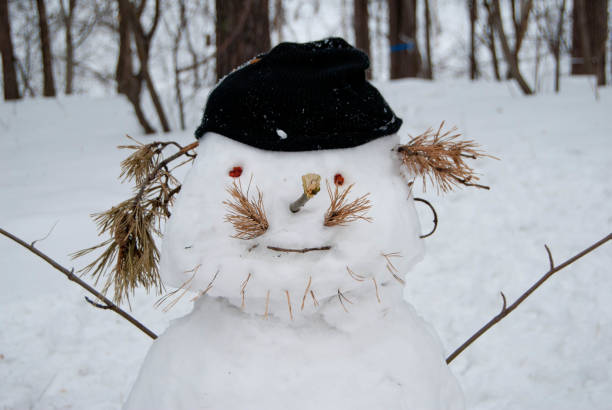 istock Snowman in a winter forest - Christmas entertainment 867896488