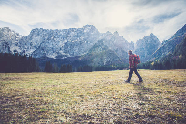 istock Senior Mountaineer in Alps 867896590