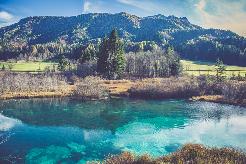 Green water of Zelenci, Kranjska Gora, Slovenia. Alps, Europe. All logos removed. Nikon.