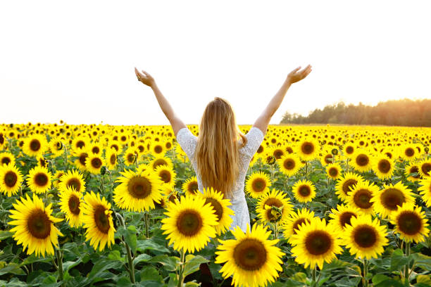 istock Young Woman in Sunflower Field 867899866