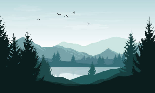 lanskap vektor dengan siluet biru pegunungan, bukit dan hutan dan langit dengan awan dan burung - alam dan lanskap ilustrasi stok