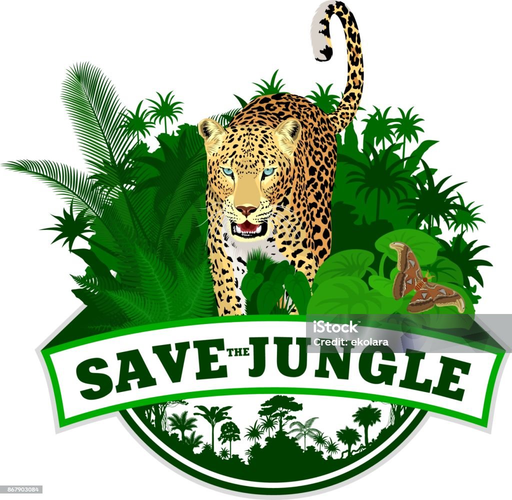 Vector jungle emblem with jaguar leopard and butterfliy Jaguar - Cat stock vector