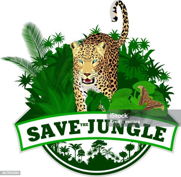 Vector Jungle Emblem With Jaguar Leopard And Butterfliy Stock Illustration - Download Image Now