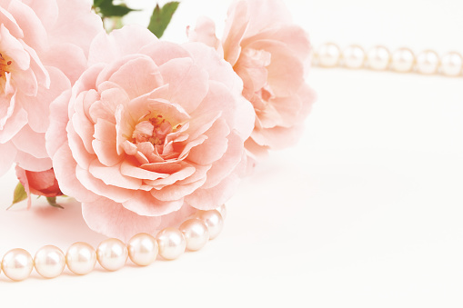 Close up of pastel pink roses with string of pearls. Muted dusty colors with copy space.