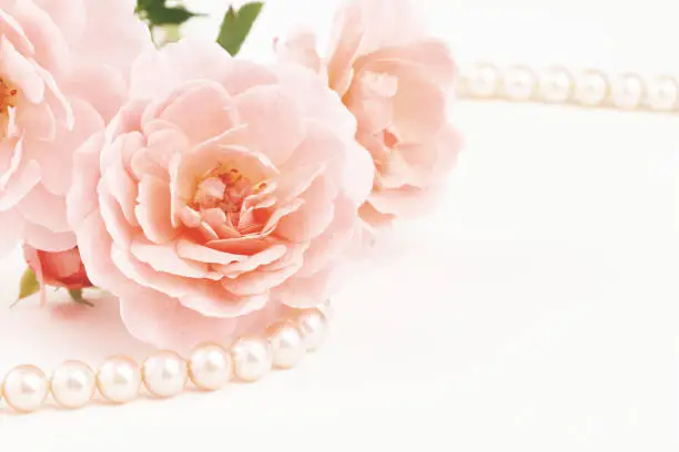 Close up of pastel pink roses with string of pearls. Muted dusty colors with copy space.
