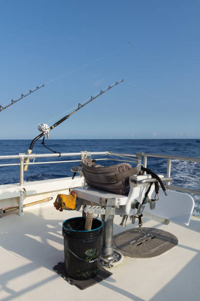istock Deep sea fishing set up 867921584