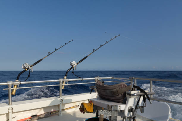 wędkarstwo głębinowe na łodzi na hawajach - 3693 zdjęcia i obrazy z banku zdjęć