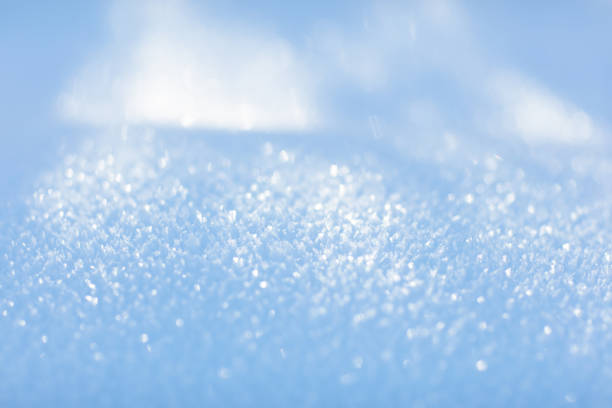 Winter snow background. Close up view of fresh new snow in winter forest on sunny cold day. Ice crystals glitter. Christmas texture. Sparkling snowflakes in snowdrift. Nature.