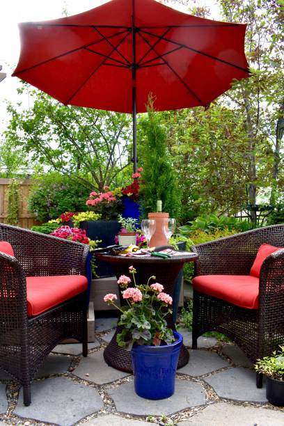 istock Afternoon wine in the garden 867932816