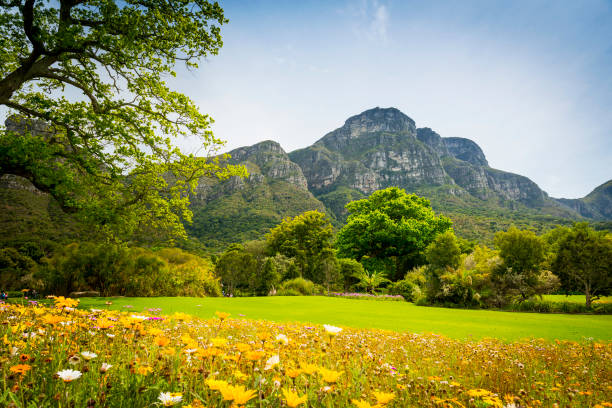 istock Table Mountain Cape Town, South Africa 867933896