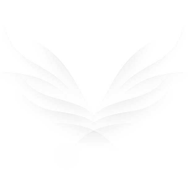 Abstract wings Abstract modern angel wings background with a space for your text. EPS 10 vector illustration, contains transparencies. High resolution jpeg file included(300dpi). butterfly wing patterns stock illustrations