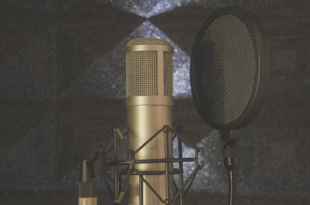 istock Speech pad Sound recording room and Mic condenser 867941168