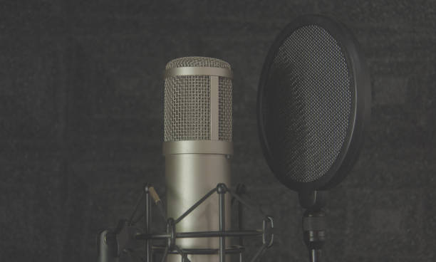 istock Speech pad Sound recording room and Mic condenser 867941704