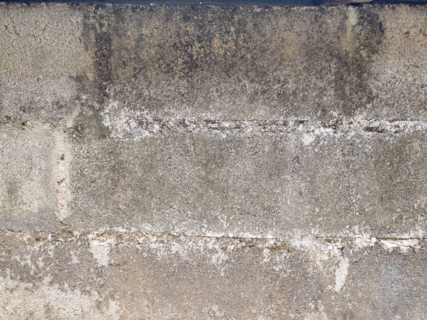 istock Old wall background, has a fibrous Suitable for background 867969316