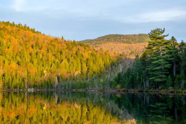 istock Mont Tremblant National Park 867972292