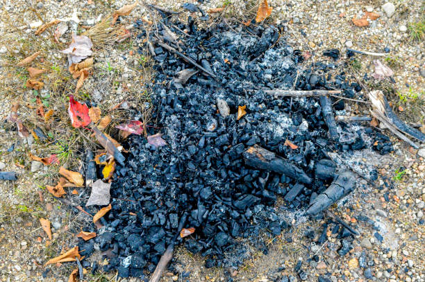 Ash and coals from the fire in Mont Tremblant National Park
