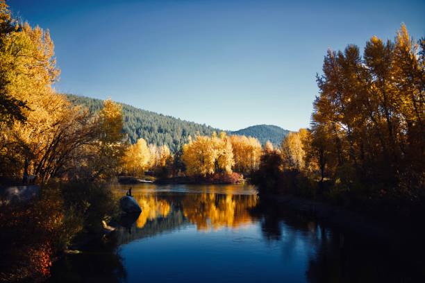 istock A Lake and Autumn Yellows and Reds 867984750
