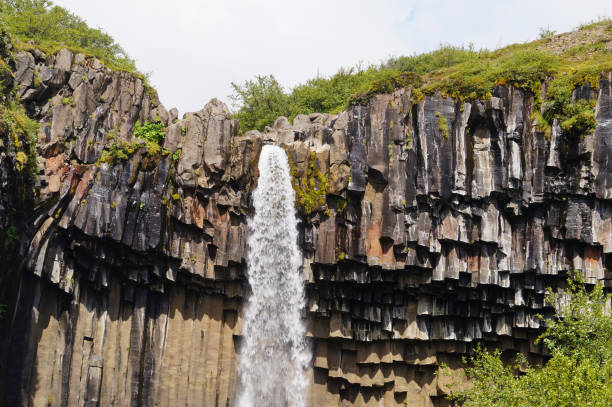 istock Svartifoss waterfall surrounded by dark lava columns,Iceland 867985252