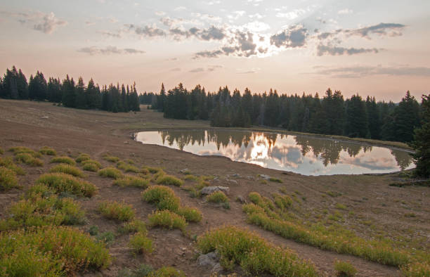 salida del sol sobre el caballo salvaje agua agujero al amanecer en la pryor montañas wild horse gama en estados unidos montana - montana water landscape nature fotografías e imágenes de stock