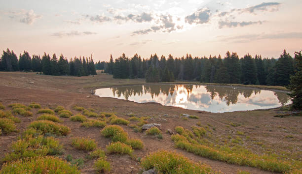 salida del sol sobre el caballo salvaje agua agujero al amanecer en la pryor montañas wild horse gama en estados unidos montana - montana water landscape nature fotografías e imágenes de stock