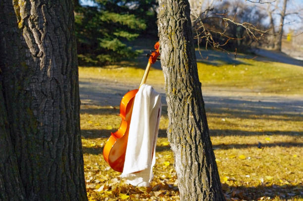 istock Cello with blanket outside on fall autumn day with colourful leaves 867988218