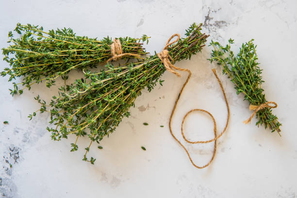 istock Thyme on a white background. A bunch of fresh thyme 867991782