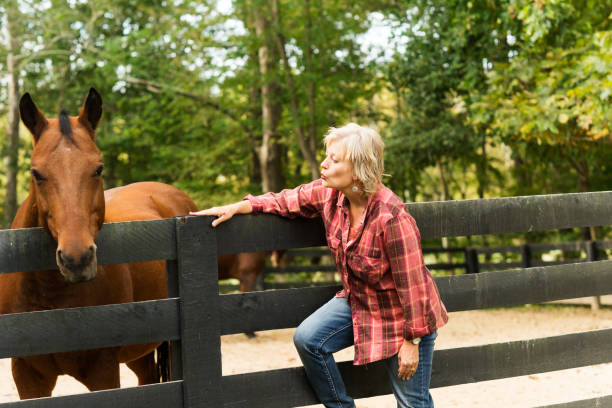 istock Getting the attention of a horse 867994280