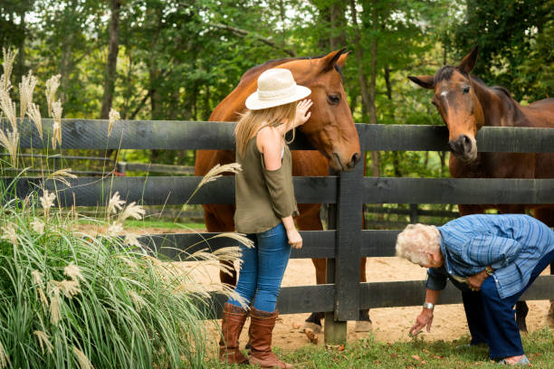 istock Grandma feeds horses 867994412