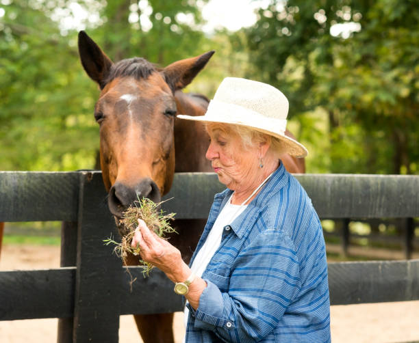 istock Senior woman nervously feeds a horse 867994446